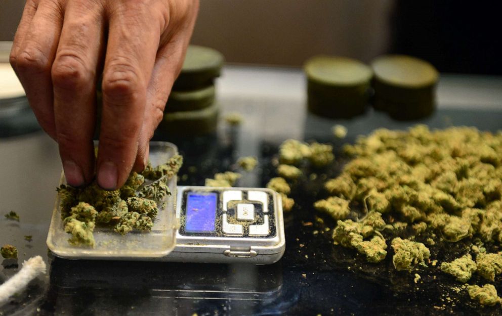 PHOTO: A vendor weighs buds for card-carrying medical marijuana patients attending Los Angeles' first-ever cannabis farmer's market at the West Coast Collective medical marijuana dispensary.