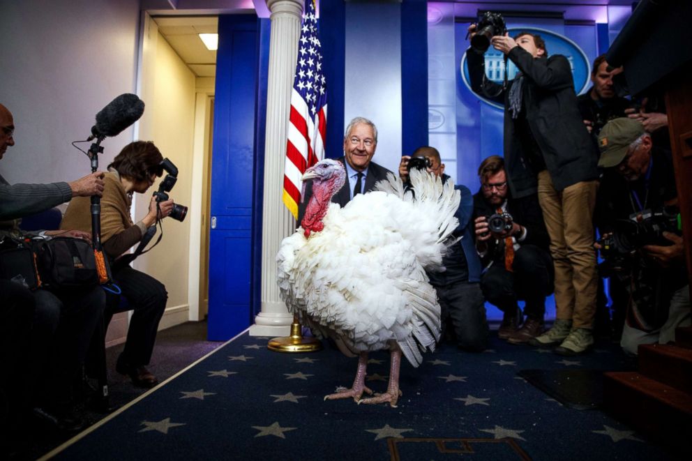PHOTO: The National Thanksgiving turkey is previewed in the briefing room of the White House, Nov. 20, 2018.
