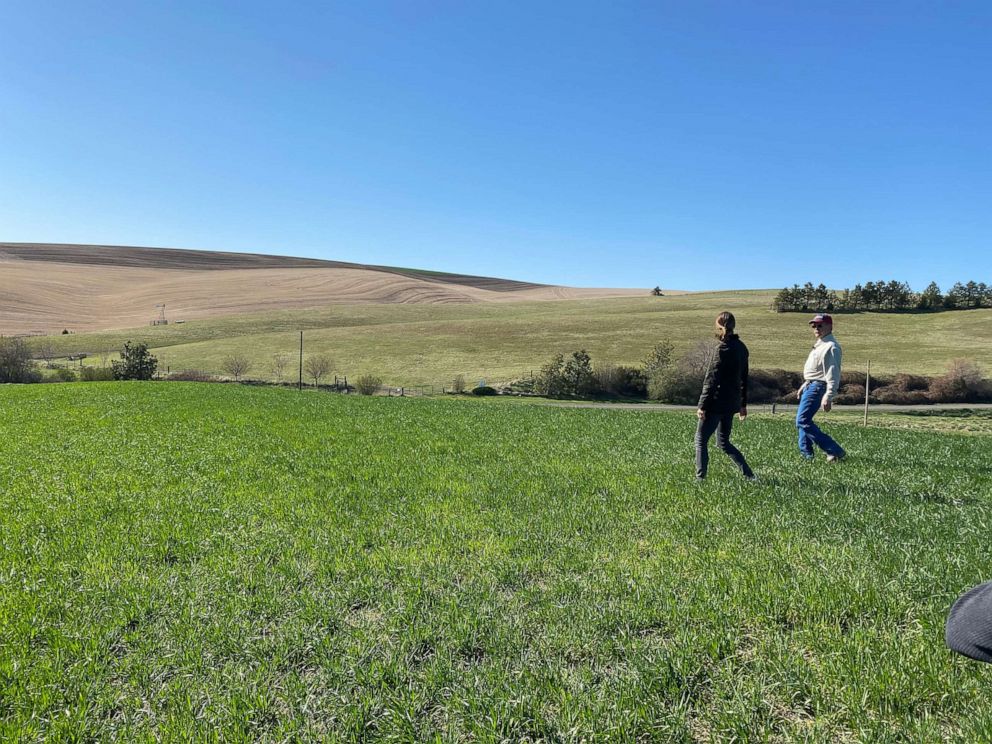 PHOTO: Tom Kammerzell owns Maple K. Farms in Whitman County, WA. He fears breaching the dams would cut his wheat profits entirely because they would become too expensive to ship in other ways