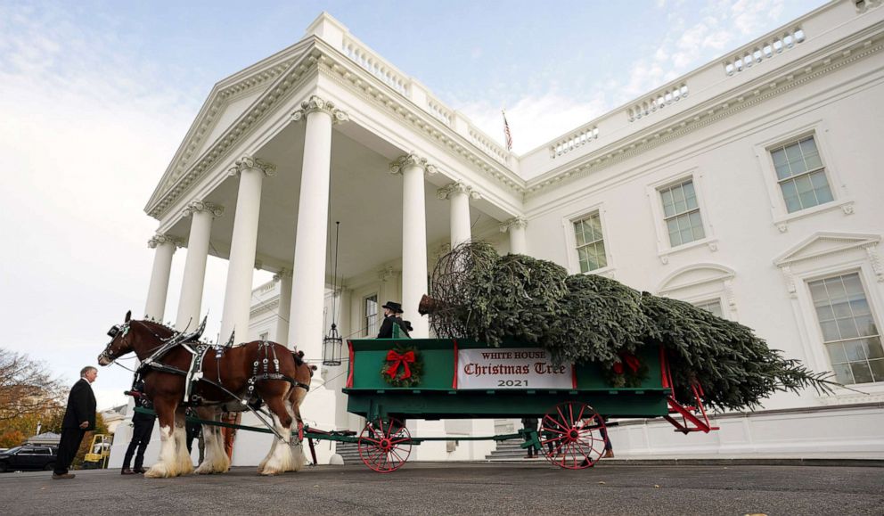 PHOTO: The 18-1/2 foot Fraser fir White House Christmas tree arrives at the North Portico of the White House in Washington, Nov. 22, 2021.