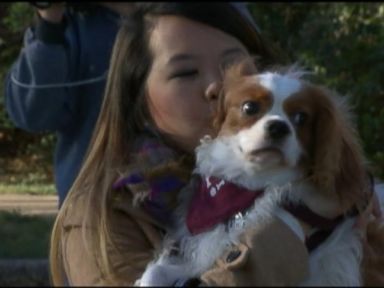 VIDEO: Nurse Who Survived of Ebola Reunites With Dog