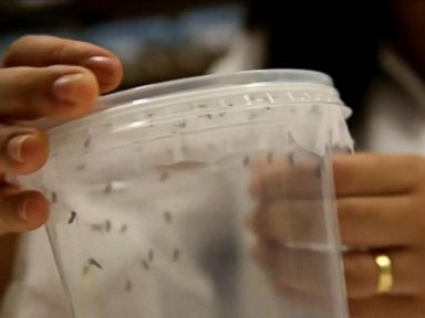 The Zika-infected mother gave birth in a New Jersey hospital, doctors said.