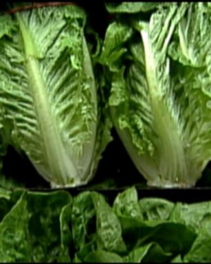 VIDEO: Nutrients found in green leafy vegetables just might make your mind 11 years younger, according to a new study.