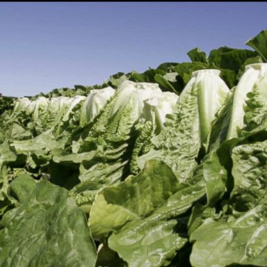 VIDEO: CDC recommends that romaine lettuce from Yuma, Arizona be thrown out.