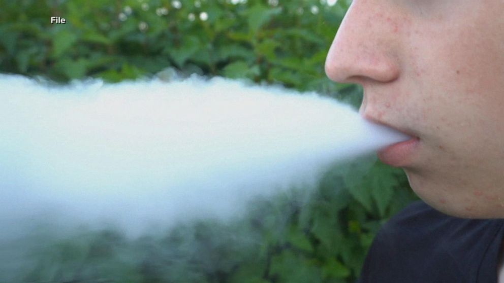 vuse pro instructions Vuse Pro Blue E-Cigarette Device