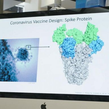 VIDEO: Home researchers working furiously to learn how a vaccine for the coronavirus works