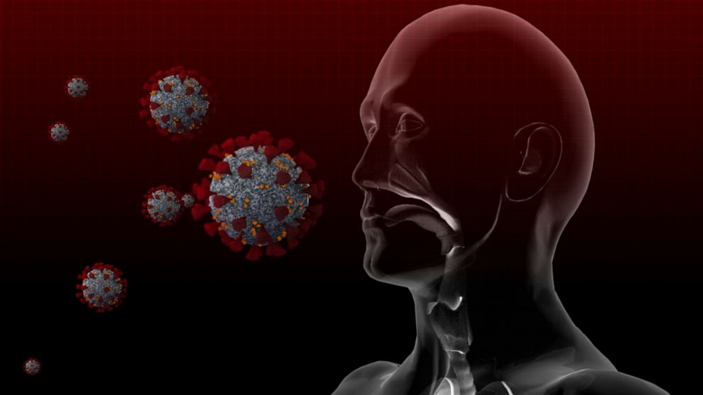 Coronavirus Reach From Beyond The Grave Deceased Body Transmits