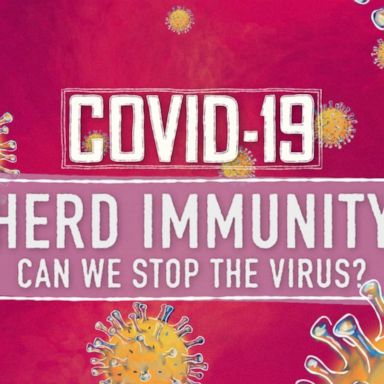 How herd immunity from coronavirus is developed