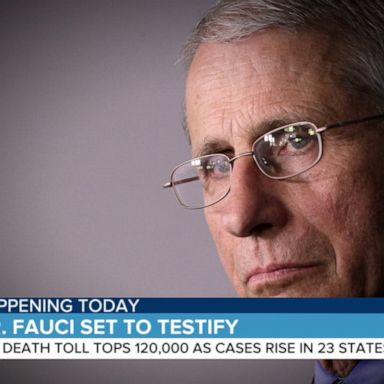 VIDEO: Dr. Fauci set to testify before Congress today