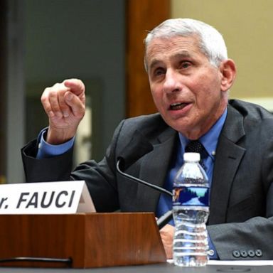 VIDEO: Dr. Fauci testifies about 'disturbing surge' of infections