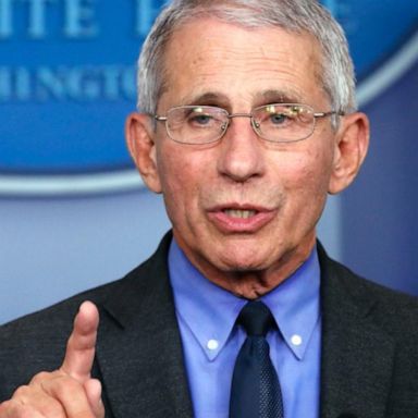 Dr. Fauci seriously doubts Russia-approved COVID-19 vaccine is safe and effective