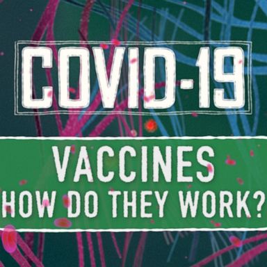 A visual explainer on how vaccines work, including how they work with the body’s immune system and their use in preventing coronavirus. 