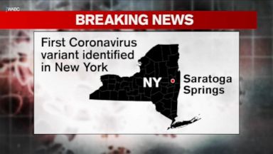 Contagious variant of COVID-19 found in New York Video - ABC News