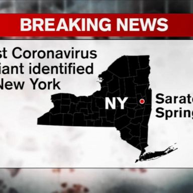 New COVID variant found in NY: Gov. Cuomo