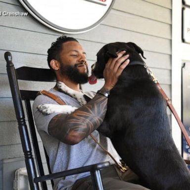 VIDEO: Service dogs help veterans suffering from physical injuries, PTSD