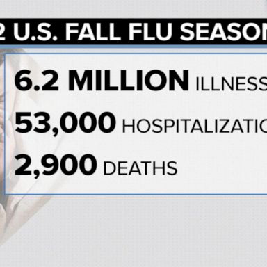 VIDEO: At least 53,000 currently hospitalized with flu: CDC