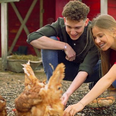 PHOTO: People working with live poultry should wear masks and gloves for protection, the CDC says.