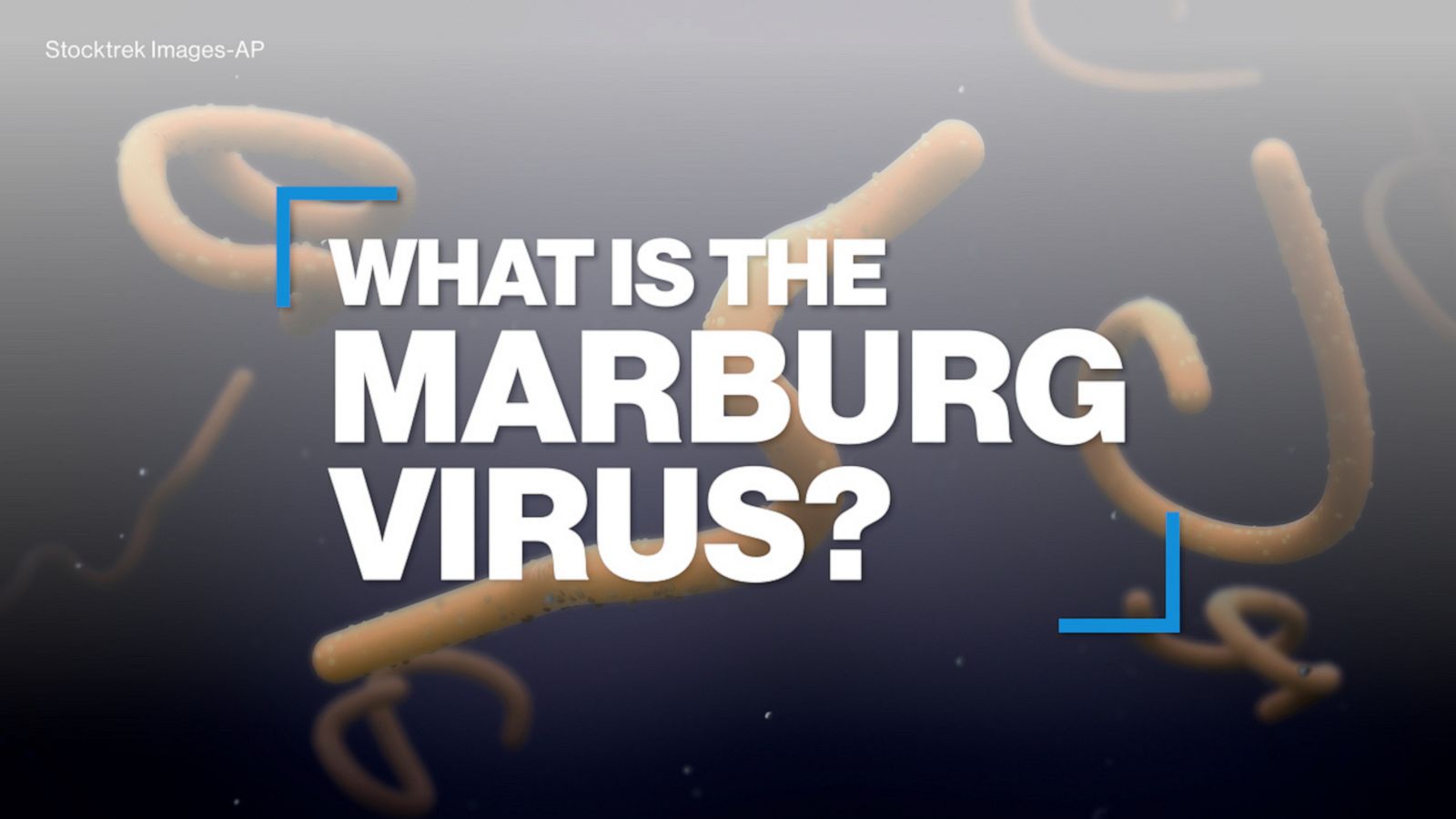 What is the Marburg virus disease? - Good Morning America