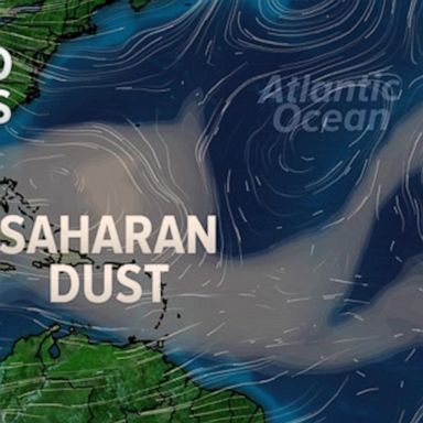 Particulate matter traveling across the Atlantic is typical from June to mid-August. 