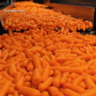 Deadly E. coli outbreak linked to carrots