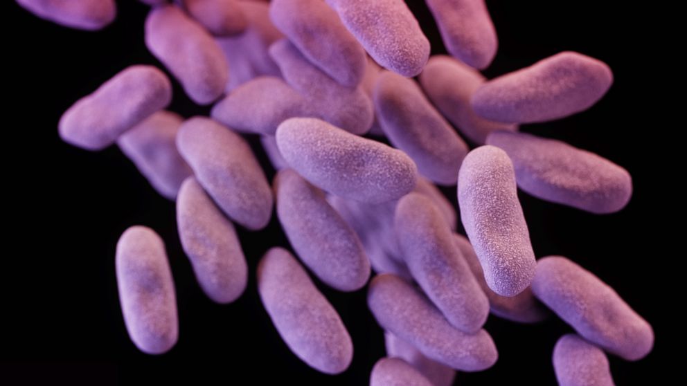 VIDEO: New Warning of Rise in 'Superbugs' That Resist Antibiotics