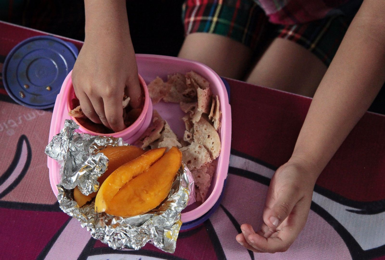 She lunches. Школьные обеды в разных странах. Бутерброды для детей в школу. Фото школьных обедов в разных странах.