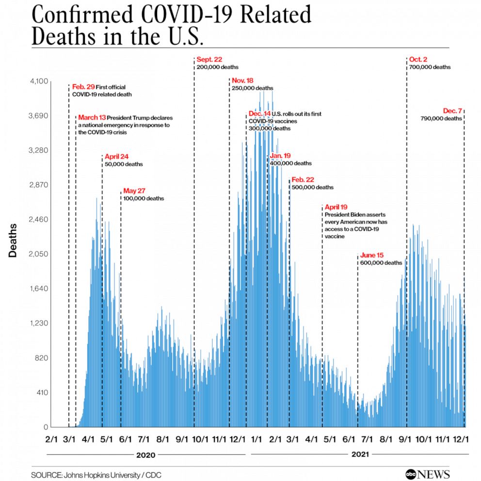 'A defining tragedy': US COVID death toll eclipses 800,000 as winter ...