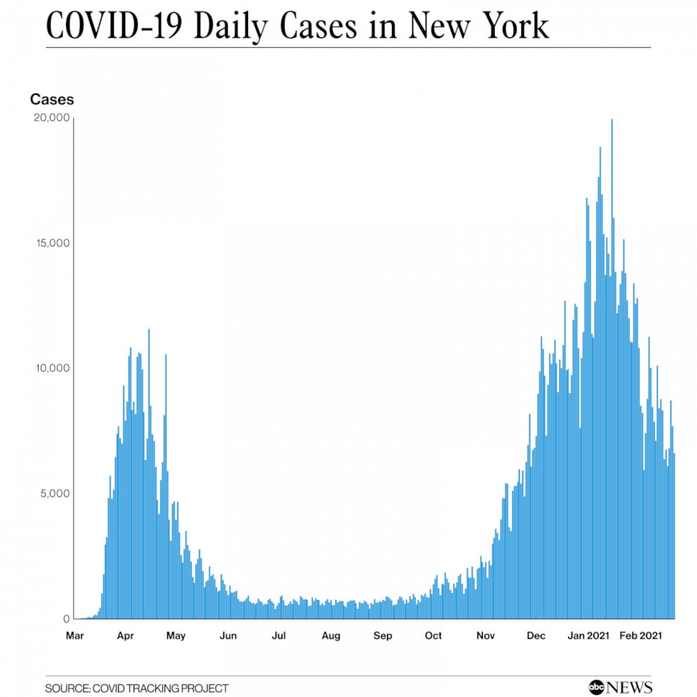 PHOTO: COVID-19 Daily Cases in New York