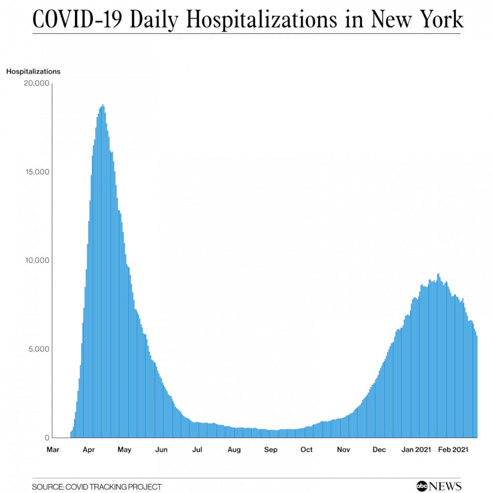 PHOTO: COVID-19 Daily Hospitalizations in New York