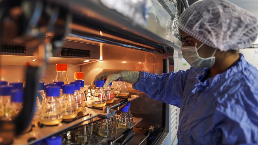 An employee in protective clothing arranges samples inside the research and development center at the Biocon Ltd. campus in Bengaluru, India, on Nov. 16, 2016. 
