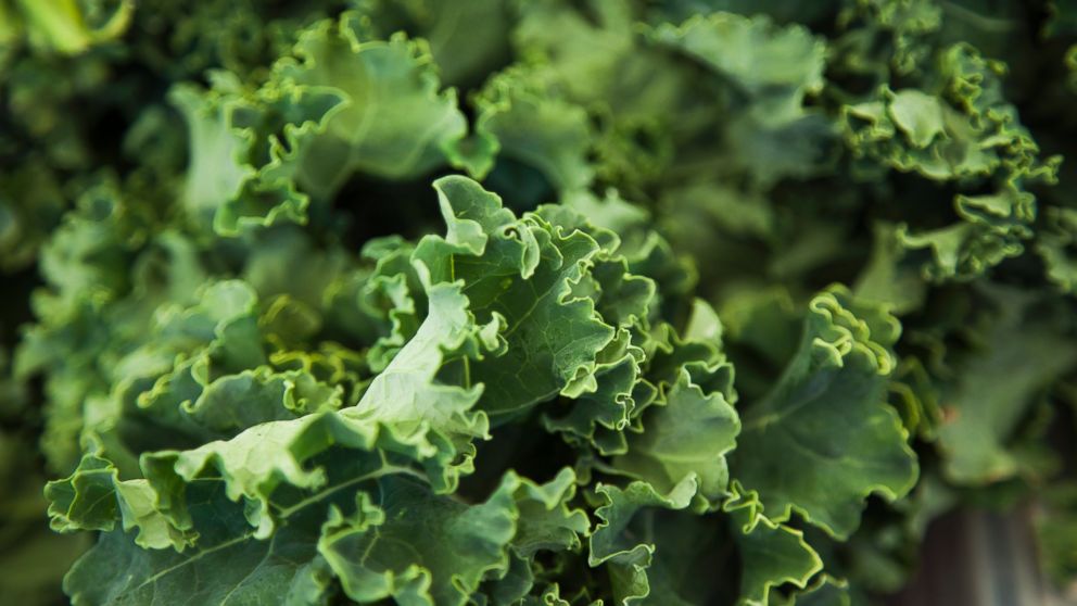 Happy National Kale Day All You Haters - ABC News