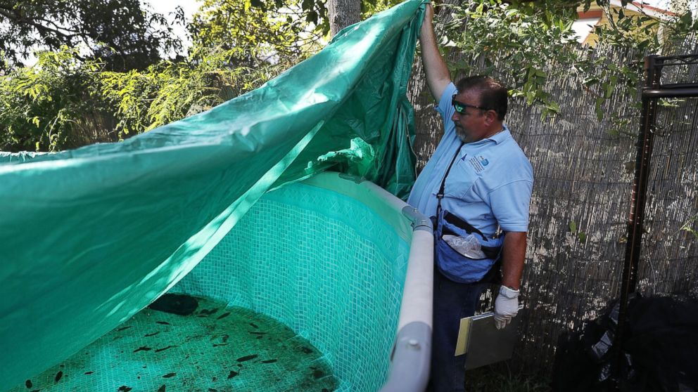 Zika Outbreak Timeline: How Our Understanding Of The Disease Has 