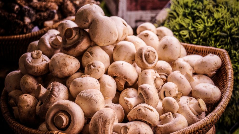 PHOTO: Eating a healthy serving of fresh funghi daily might help protect you from breast cancer, according to a study printed in the International Journal of Cancer.