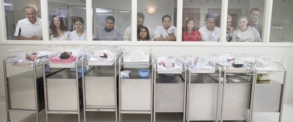 Blizzard Baby Booms Fact Or Fiction Abc News Photo New Pas Watch Their Babies In The Hospital Nursery