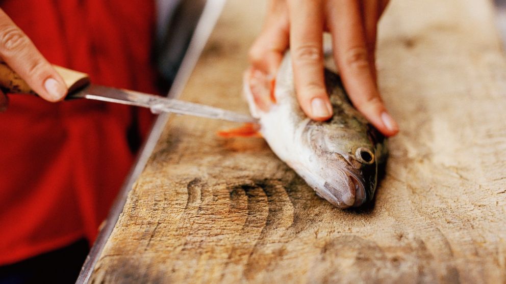 A fish is prepped to  be cooked.