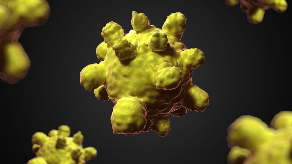 PHOTO: The measles virus is depicted in this undated file image.