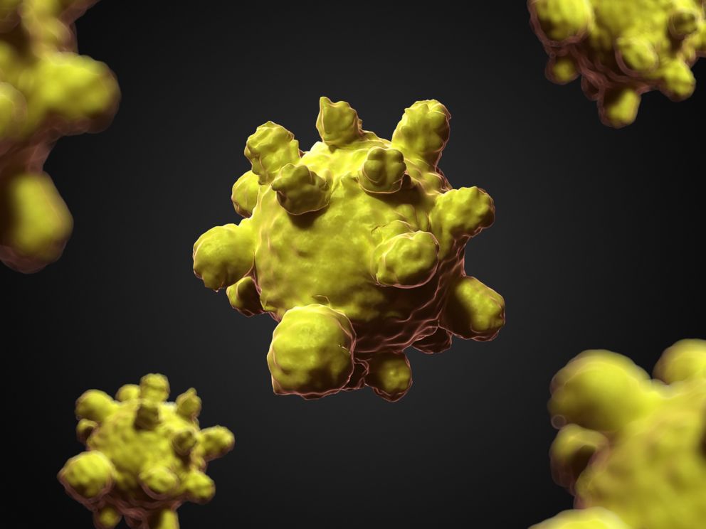 PHOTO: The measles virus is depicted in this undated file image.