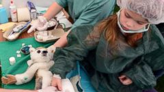 do hospitals take stuffed animal donations