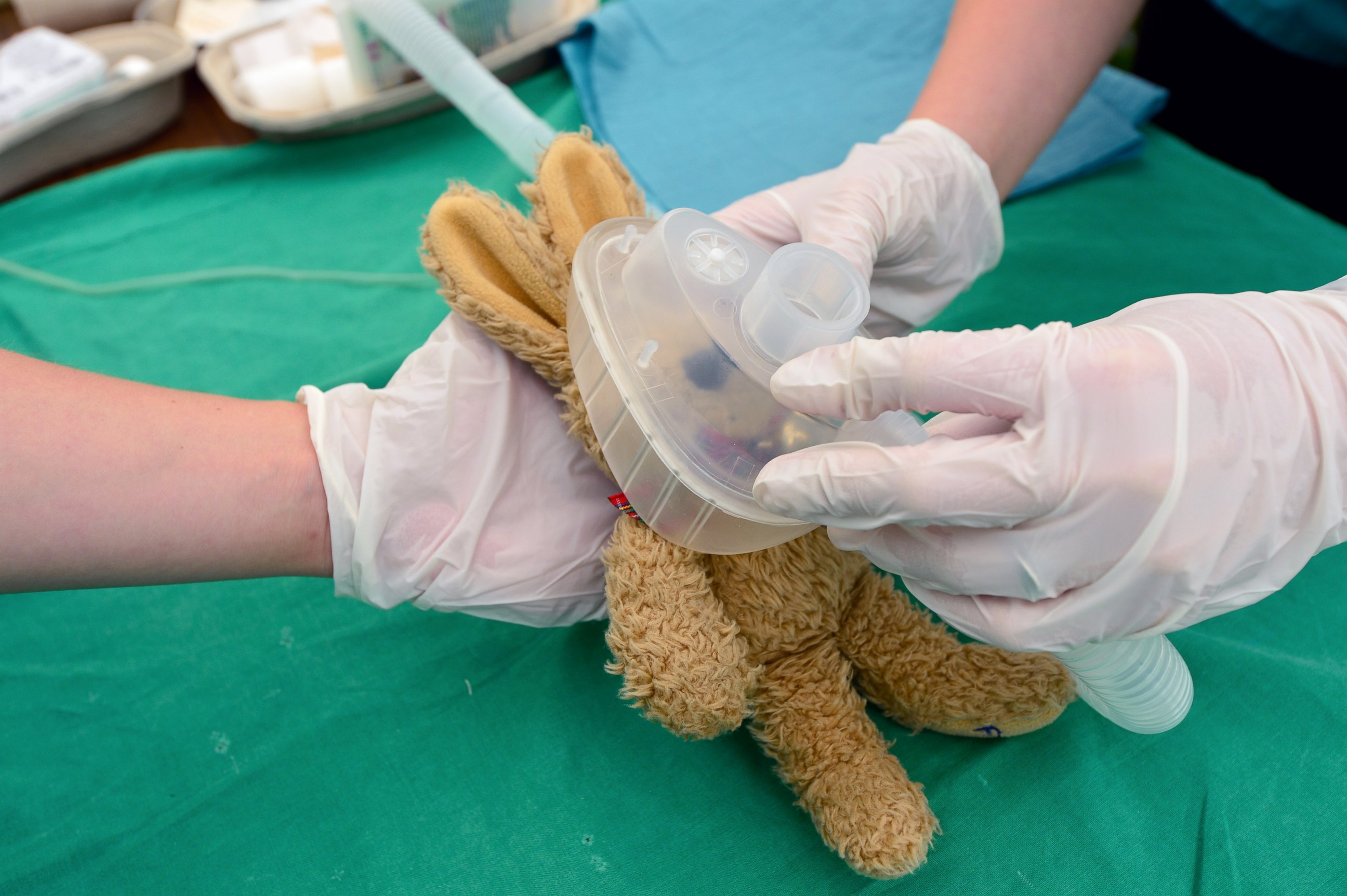 PHOTO: Medical students prepare the "operation" for Ben's, age 3, teddy bear Felix in the operating room of the "Teddy Clinic'' on June 4, 2014 in Giessen, Germany. 