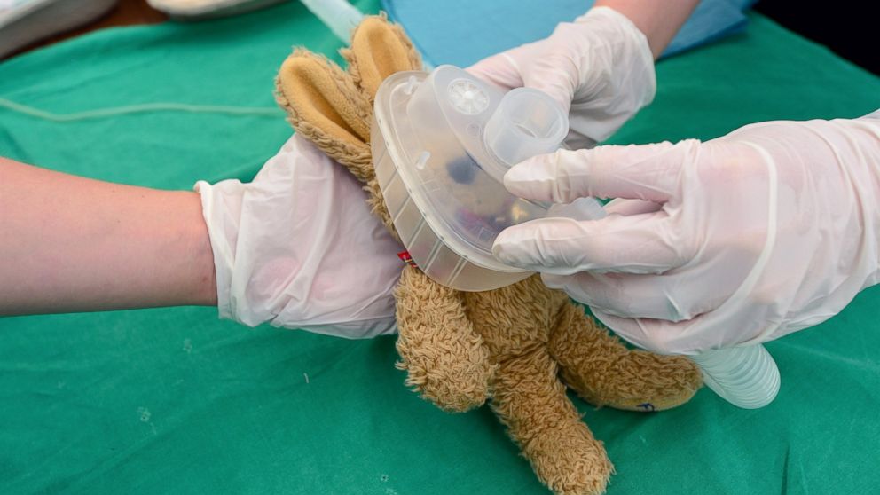 PHOTO: Medical students prepare the "operation" for Ben's, age 3, teddy bear Felix in the operating room of the "Teddy Clinic'' on June 4, 2014 in Giessen, Germany. 