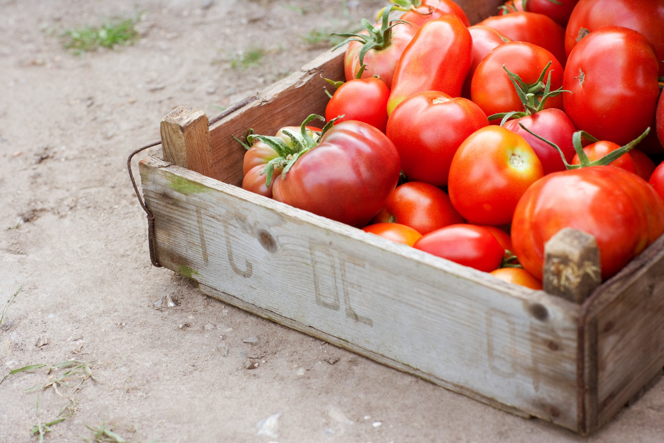 PHOTO: Summer Food Safety
