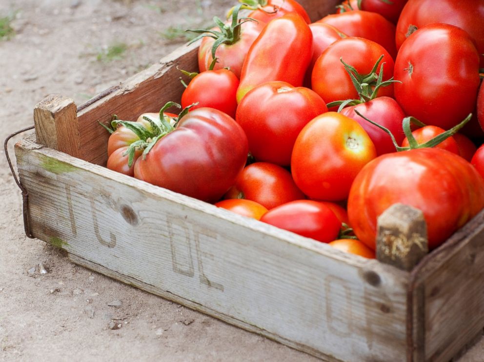 PHOTO: Summer Food Safety
