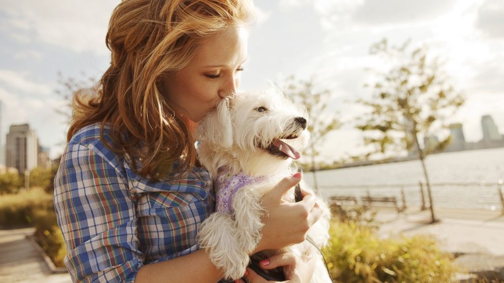 Petting other people's (friendly) dogs can boost your health