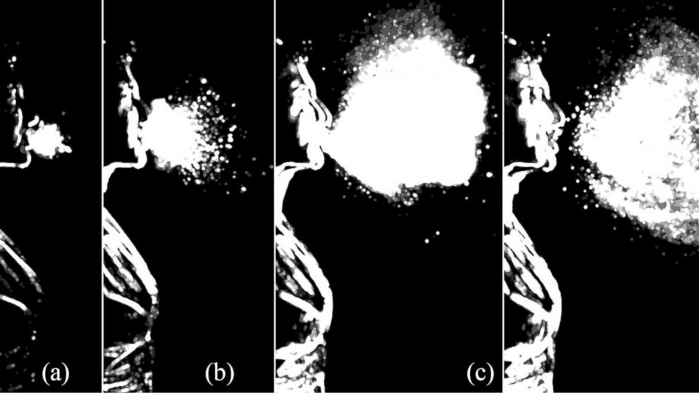 This sequence illustrates the evolution of the multiphase turbulence cloud that suspends droplets emitted during a sneeze. Shown here are times ranging from 7 to 340 milliseconds post sneeze onset.