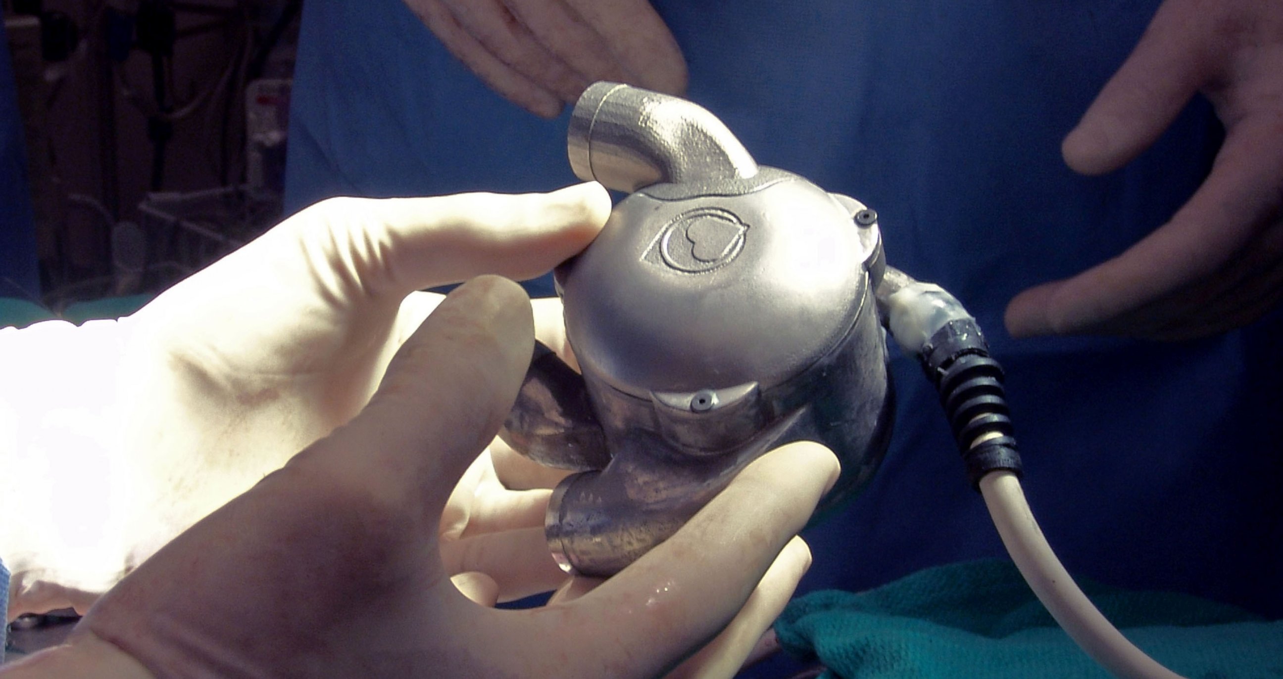 PHOTO: Scientists at the Texas Heart Institute are working to create a permanent artificial heart