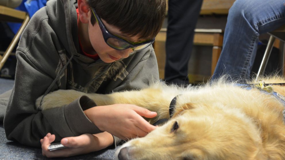 PHOTO: Lutheran Church Charities' K-9 Comfort Dogs traveled to Marysville, Washington, to comfort residents after a high school shooting last week.