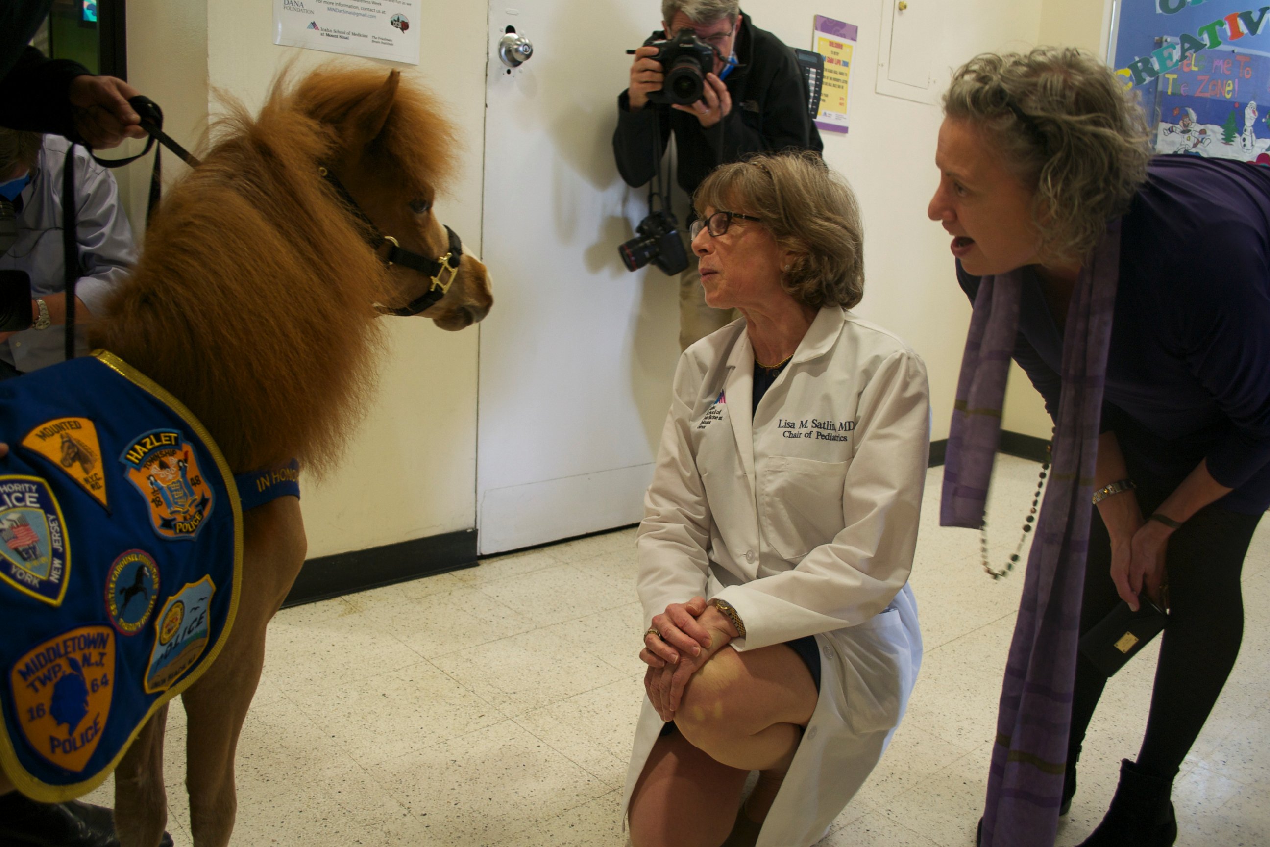 PHOTO: The pony is one of the Gentle Carousel Miniature Therapy Horses that are trained to deal with children or people who have expereienced traumatic events. 