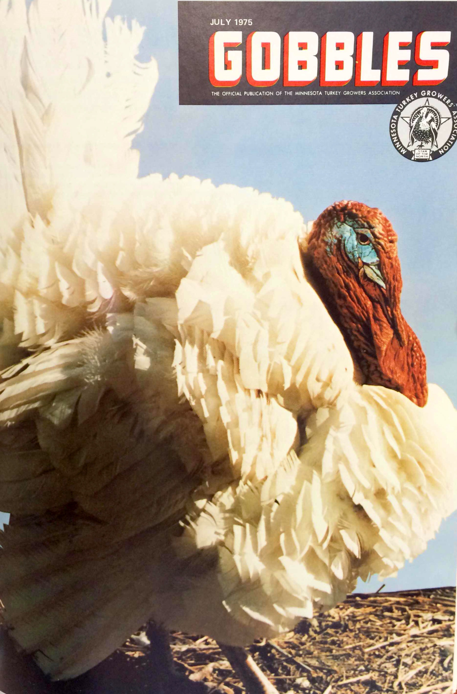 PHOTO: A turkey on the cover of a 1975 turkey grower's magazine.