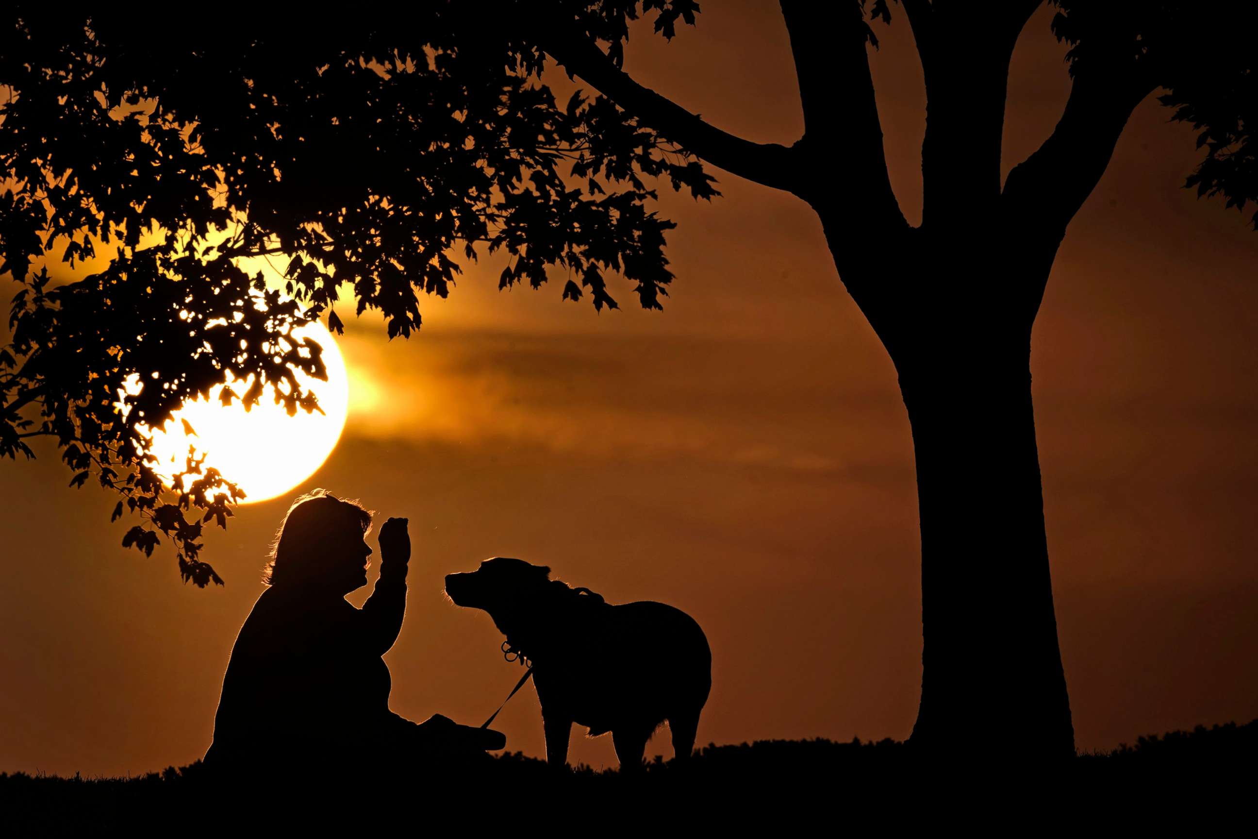PHOTO: A woman plays with a dog at sunset, Nov. 6, 2021, at a park in Kansas City, Mo.
