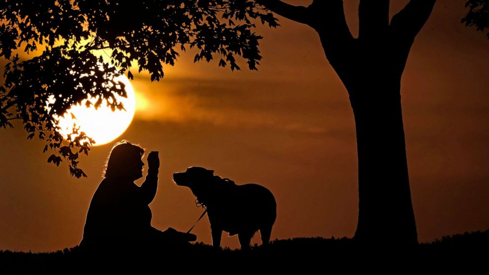 PHOTO: A woman plays with a dog at sunset, November 6, 2021, at a park in Kansas City, Mo.